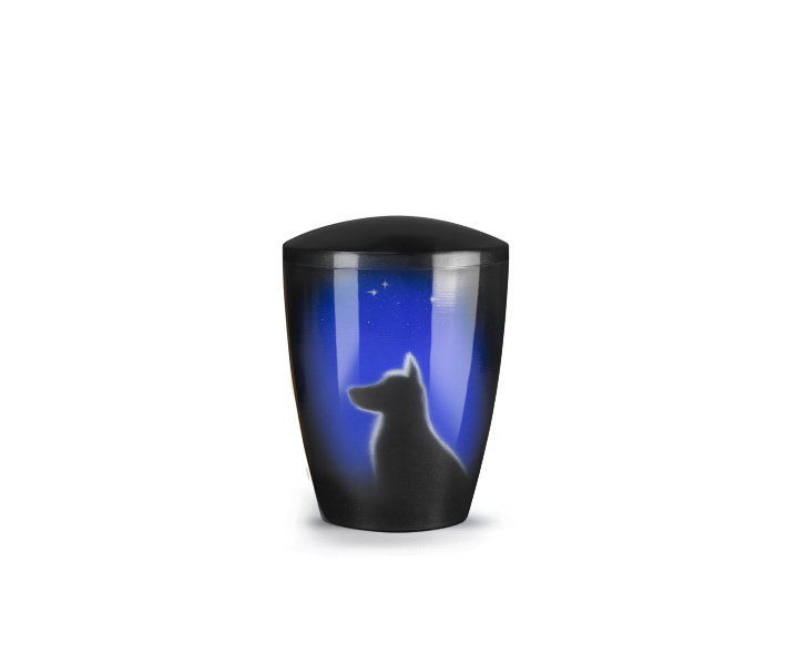 a11