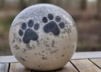 Hondenurn met 2 poten – licht